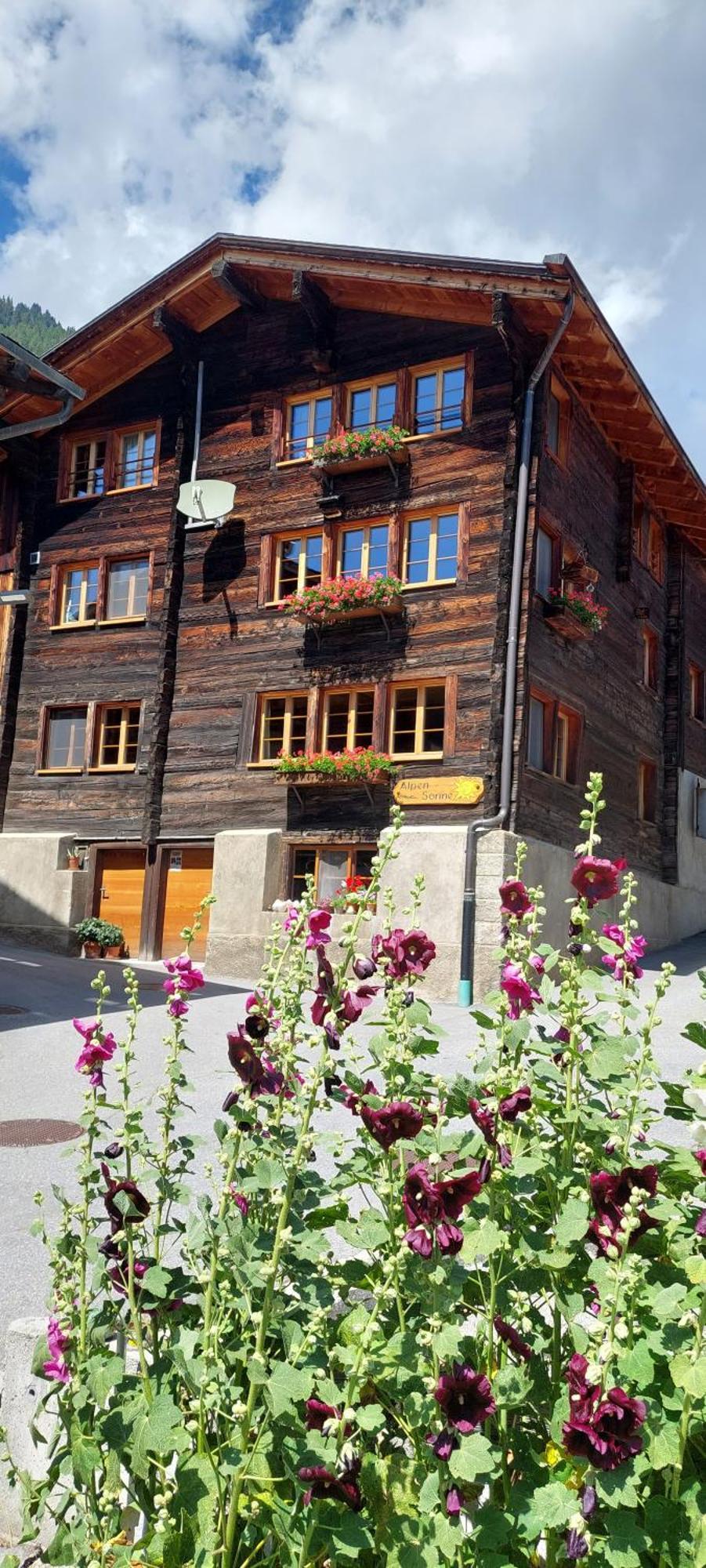 Ferienwohnung Alpensonne Reckingen Exterior foto