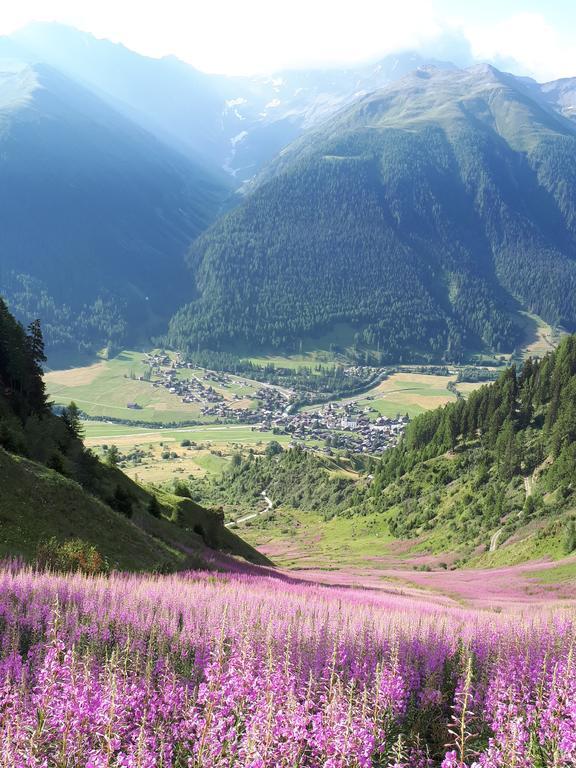 Ferienwohnung Alpensonne Reckingen Exterior foto