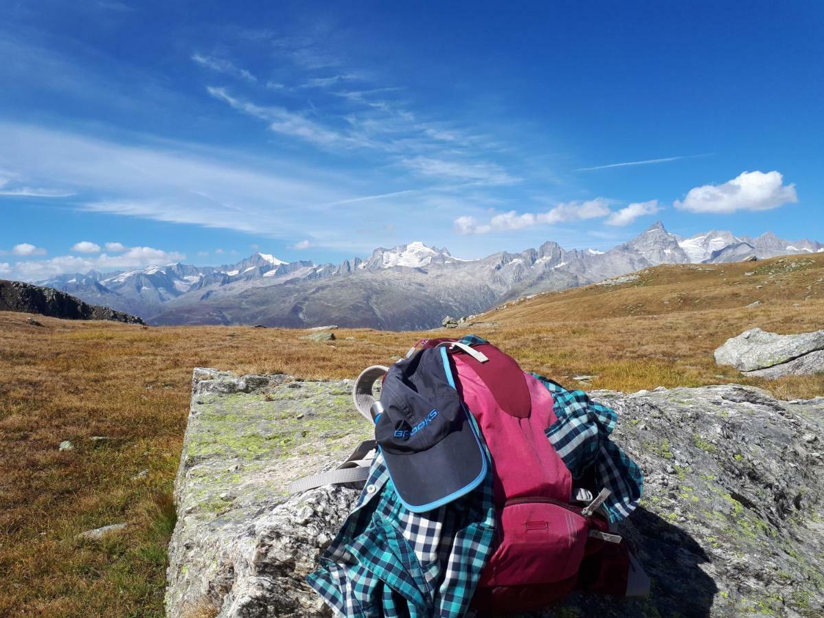 Ferienwohnung Alpensonne Reckingen Exterior foto