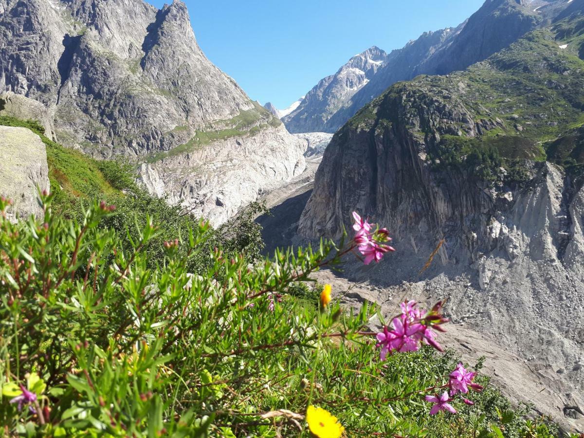 Ferienwohnung Alpensonne Reckingen Exterior foto